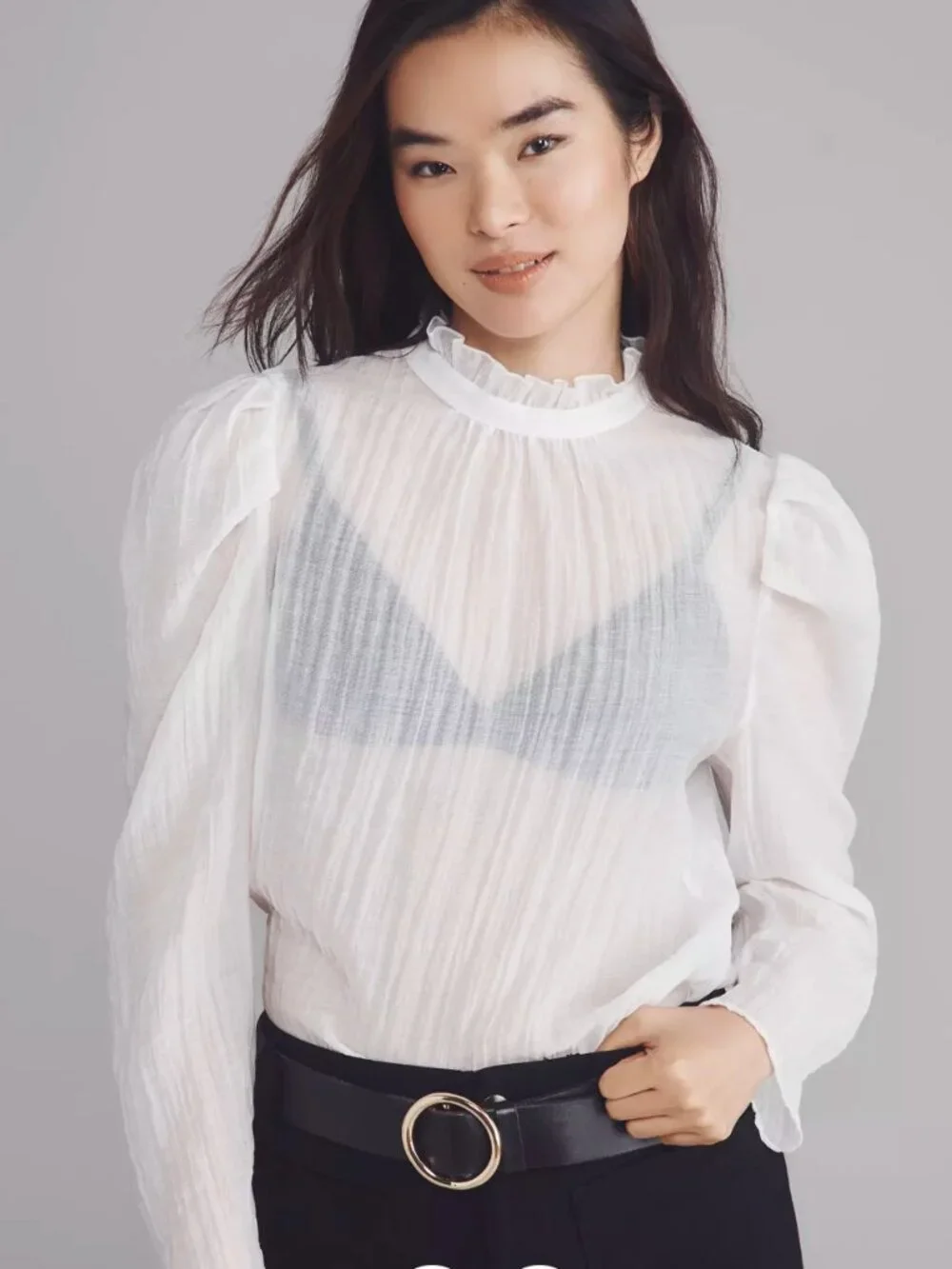 Maeve Anthropologie Sheer Mock Neck Long Sleeve Gauze Blouse Large Puff Romantic